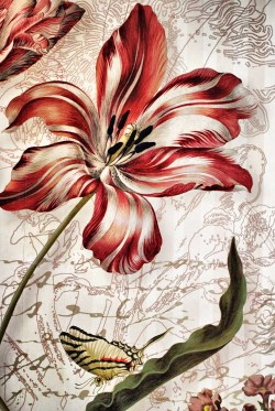 XL deursticker bloem design 2880777_ds